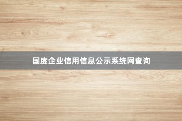 国度企业信用信息公示系统网查询